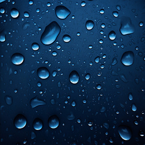 女被❌c🐻黄扒衣服视频
