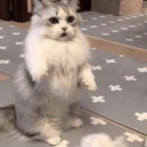 女被❌c🐻黄扒衣服视频
