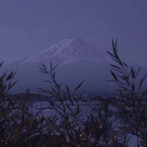 女被❌c🐻黄扒衣服视频
