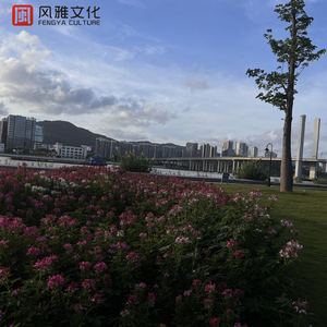 女被❌c🐻黄扒衣服视频
